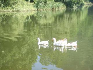 General view
 di The Lake Villa