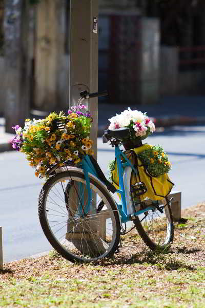 General view
 di 27 Montefiore ApartHotel