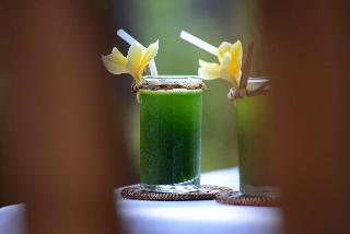 Alam Bidadari Seminyak Villas & Spa photo 4