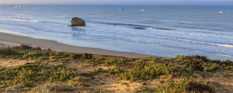 General view
 di Roulette Matalascañas 3*