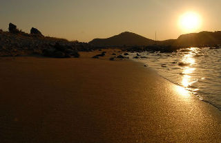 Conferences
 di Anemos