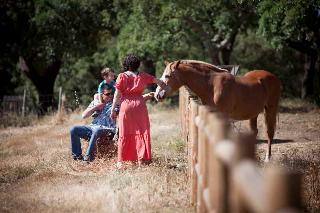 Sports and Entertainment
 di Monte do Giestal - Casas de Campo & SPA