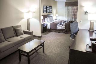 1 King Bed, Suite, Nonsmoking, Accessible