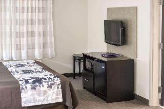 1 King Bed, Suite, Nonsmoking