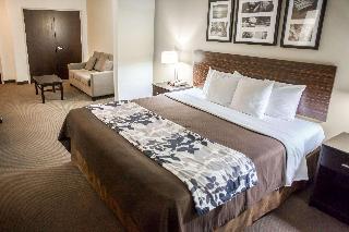 1 King Bed, Suite, Nonsmoking