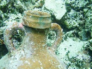 General view
 di Solitudo