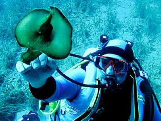 General view
 di Solitudo