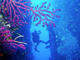 General view
 di Solitudo