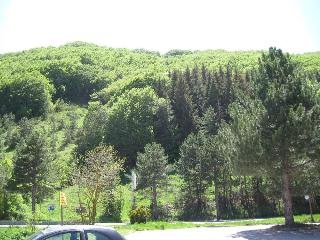 Holidays, Abruzzo