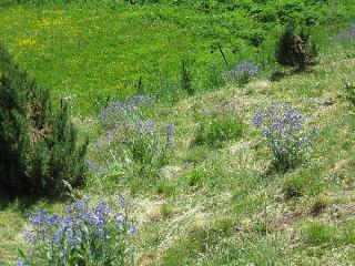 Holidays, Abruzzo