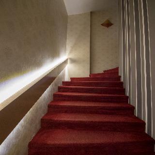 Cosmopolit