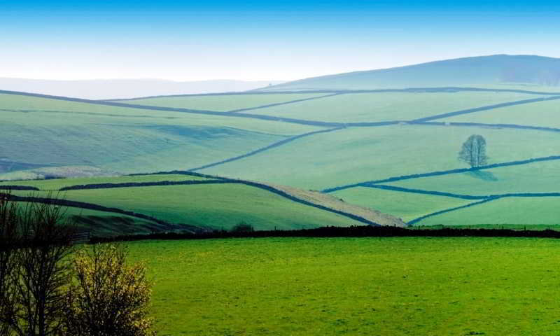 General view
 di Hargate Hall