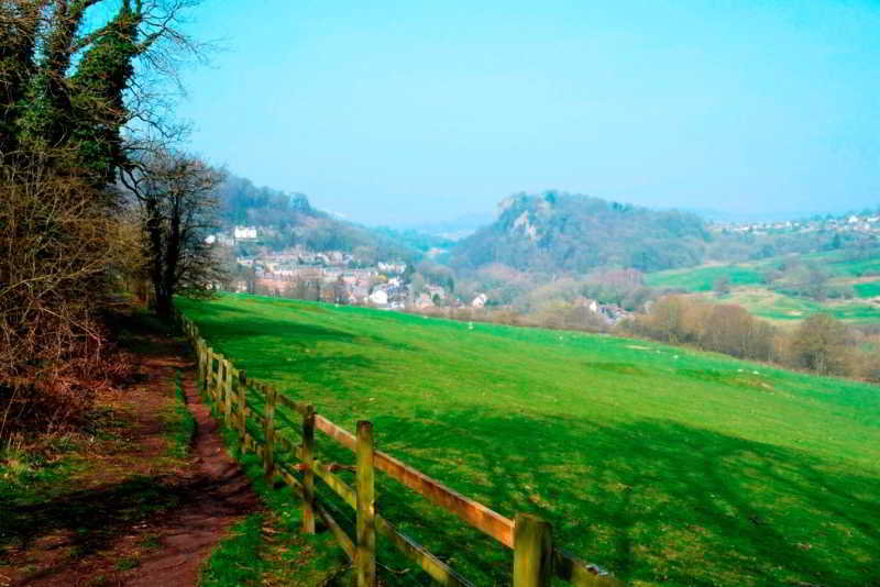 General view
 di Hargate Hall