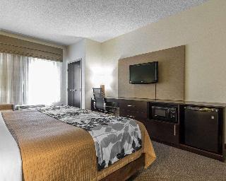 Room Room