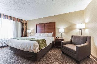 Room Room