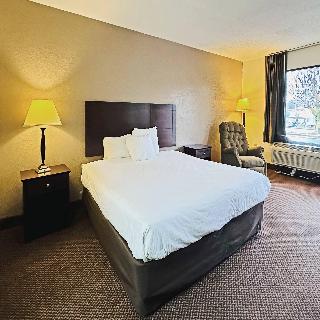 Room Room