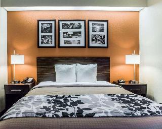 Room Room