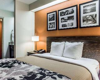 Room Room