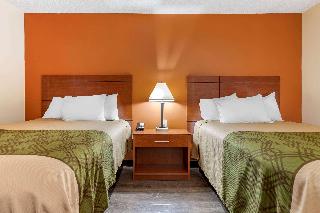 Room Room