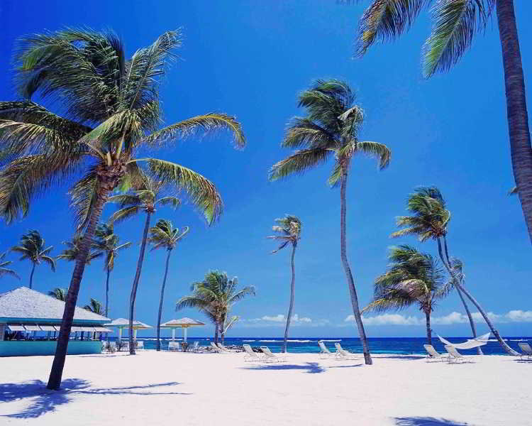 Beach
 di Nisbet Plantation Beach Club