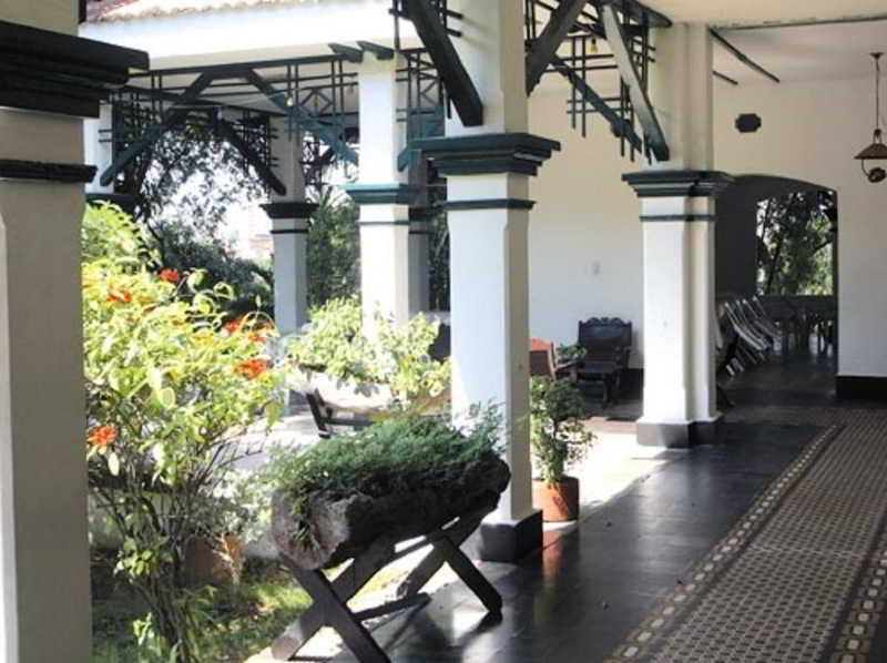 Hotel Matamundo
