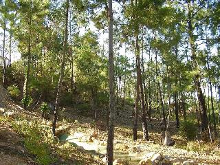 San Miguel, Costa de la Luz (Huelva)