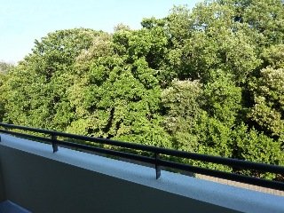 Terrace
 di Forme Hotel