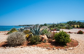 General view
 di Esperides