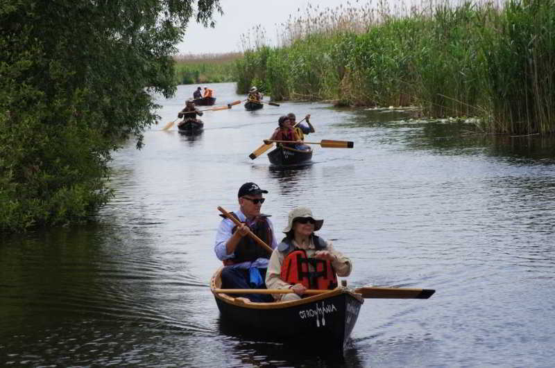 Sports and Entertainment
 di Sunrise 4