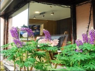 General view
 di Alishan Shermuh International Tourist Hotel