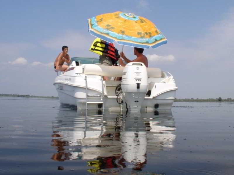 Sports and Entertainment
 di Botel Anda