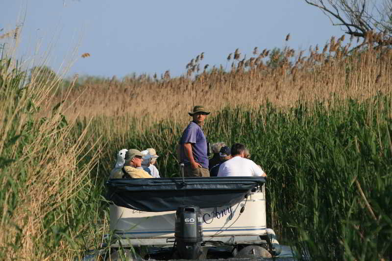 Sports and Entertainment
 di Botel Anda