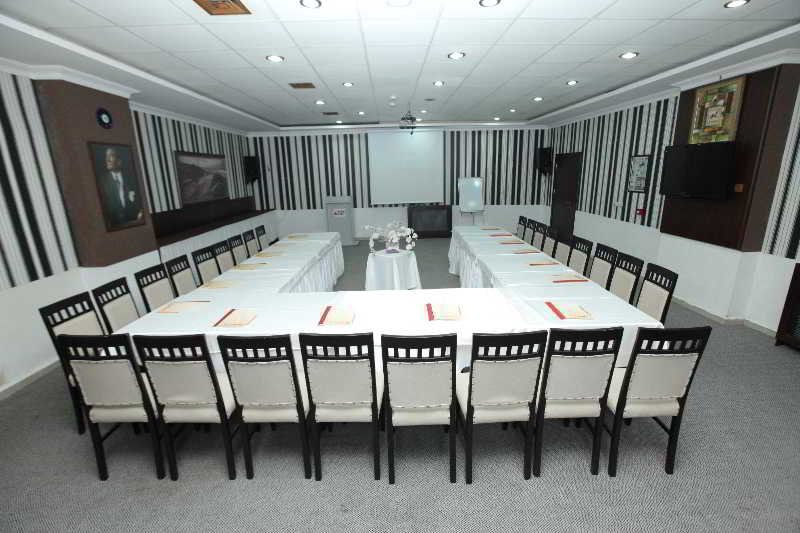 Conferences
 di Teona Otel