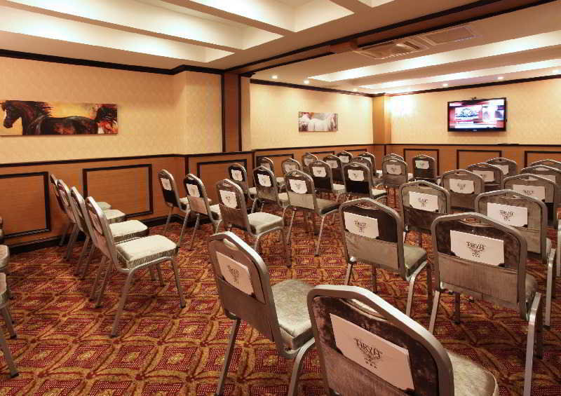 Conferences
 di Arya Otel Sakarya