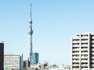 整體概覽