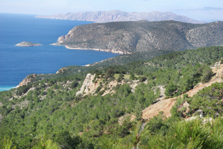 General view
 di Thomas Hotel