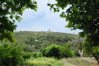 General view
 di Thomas Hotel