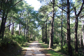 General view
 di Thomas Hotel
