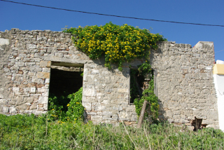 General view
 di Thomas Hotel
