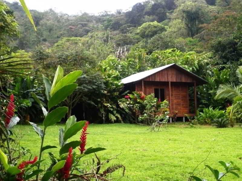 General view
 di Cataratas Bijagua Lodge