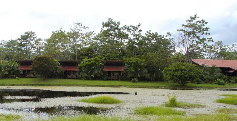 General view
 di Maquenque Ecolodge