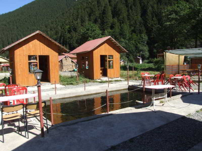Room
 di Kuloglu Otel Uzungol