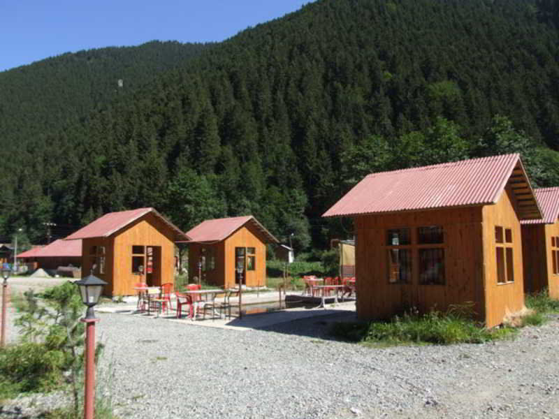 Room
 di Kuloglu Otel Uzungol