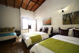 Room
 di Salento Real