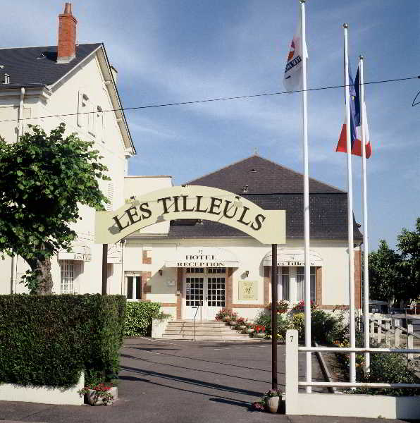 General view
 di INTER-HOTEL LES TILLEULS