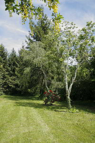 General view
 di HOTEL LE RELAIS DE BROCELIANDE SPA