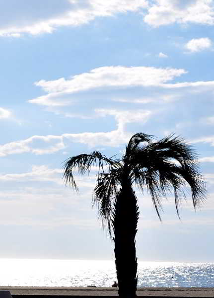 General view
 di INTER-HOTEL REGINA