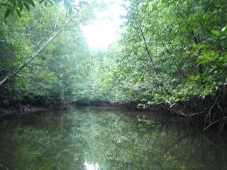 General view thumbnail 51