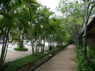 Terrace thumbnail 24