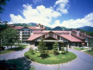 General view
 di Hakuba Tokyu Hotel